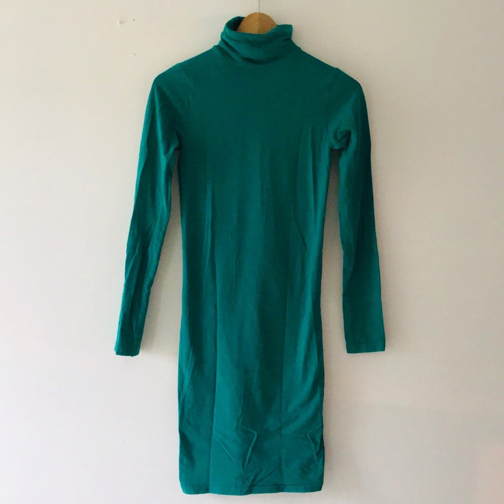 American Apparel Stretch Dress with Turtleneck